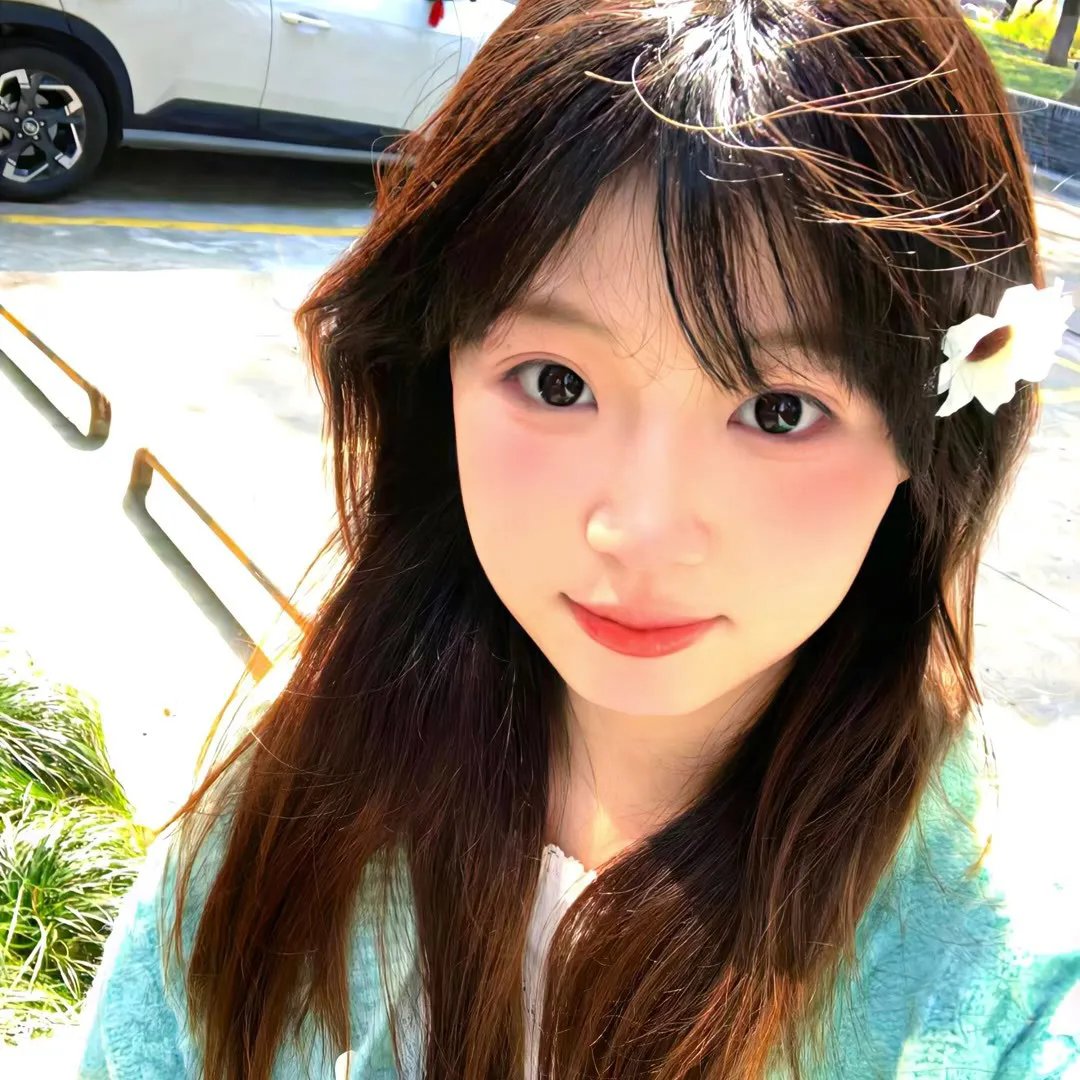 睡莲